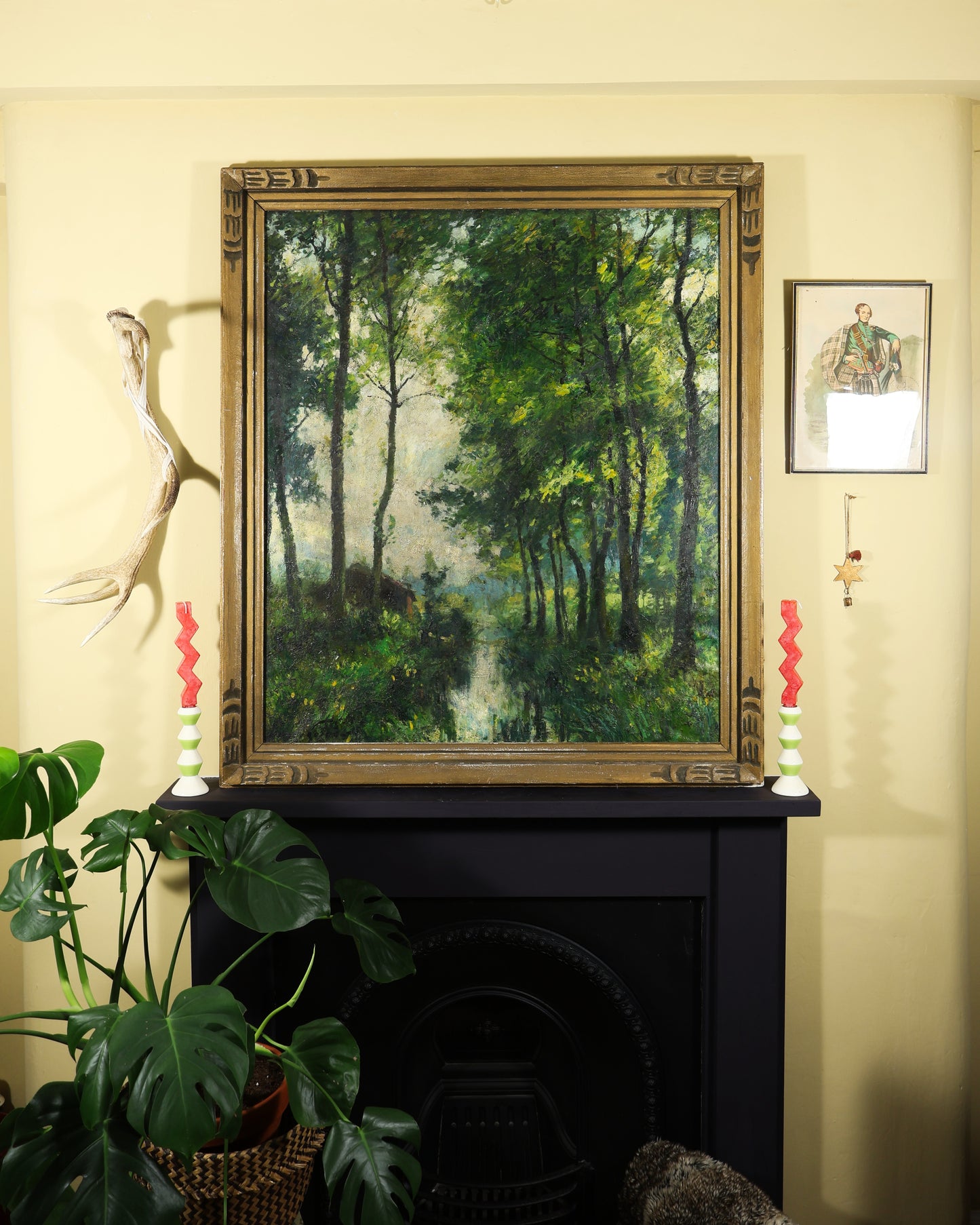 Woodland River Scene