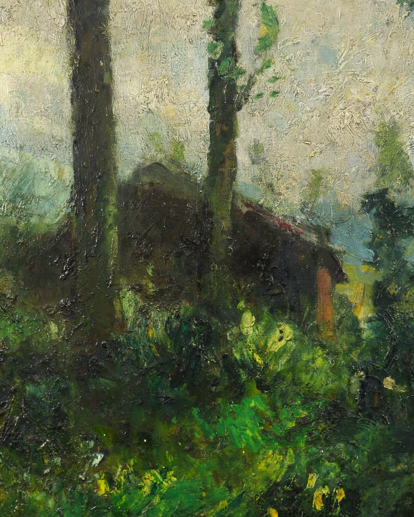 Woodland River Scene
