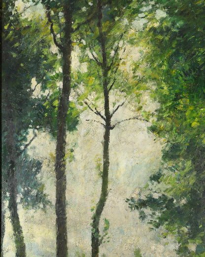Woodland River Scene