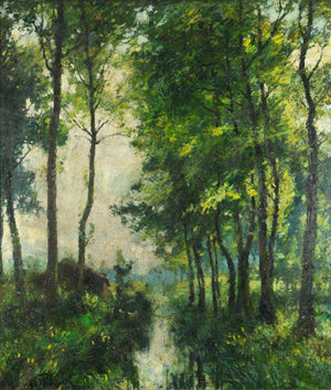Woodland River Scene