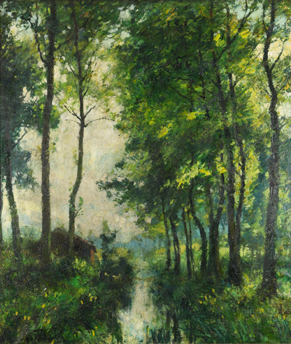 Woodland River Scene