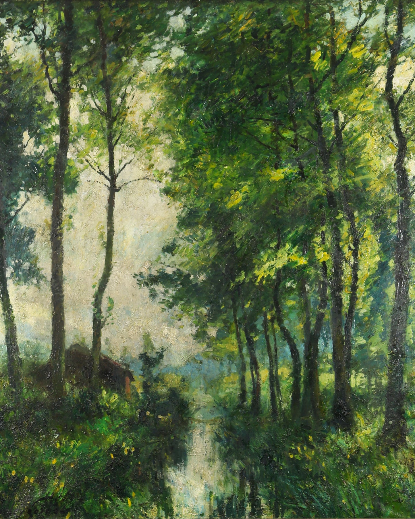Woodland River Scene