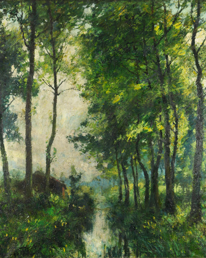 Woodland River Scene