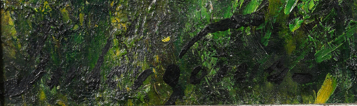 Woodland River Scene