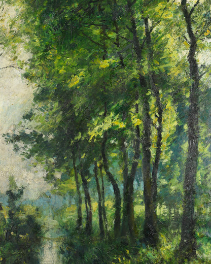 Woodland River Scene