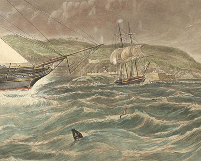 After William Adolphus Knell – HMS Geyser off Mount Edgcumbe