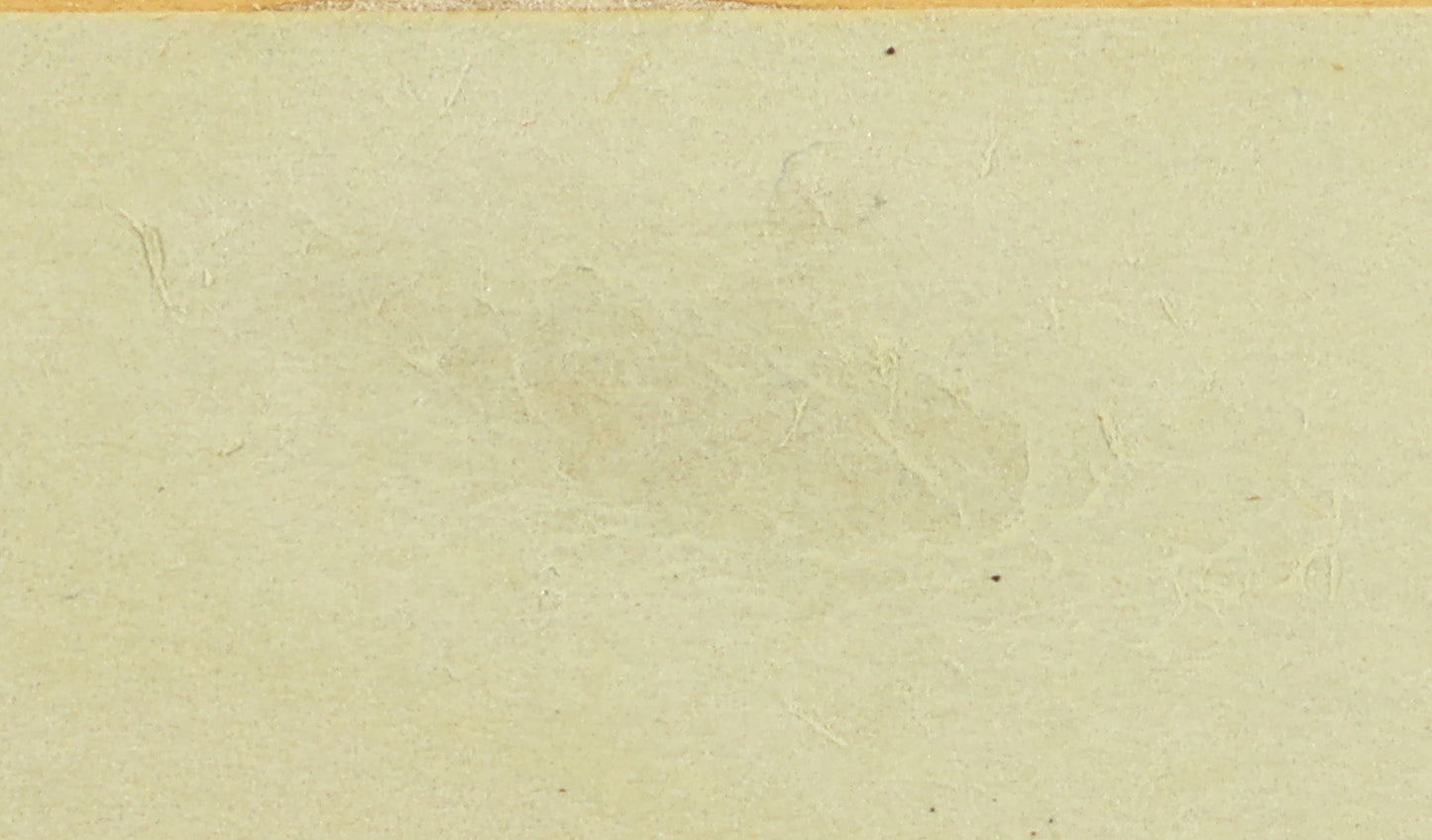 After Charles Hunt – Grand Stand, Goodwood (Coming in for the Gold Cup 1838)
