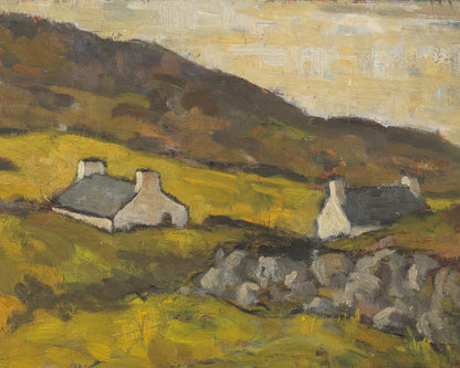Richard Wasson - Ireland